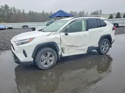 JTMMWRFV8RD264662 2024 TOYOTA RAV 4