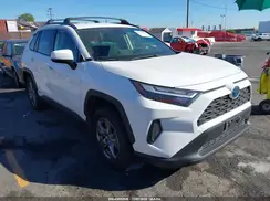 JTMMWRFV8RD581163 2024 TOYOTA RAV 4