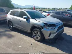 JTMMWRFV9RD216376 2024 TOYOTA RAV 4