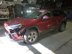 JTMMWRFV9RD217477 2024 TOYOTA RAV 4