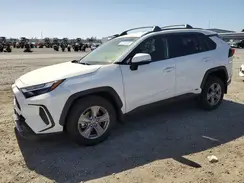 JTMMWRFV9RD237633 2024 TOYOTA RAV 4