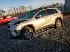 JTMMWRFV9RD240998 2024 TOYOTA RAV 4