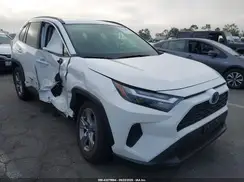 JTMMWRFVXRD229203 2024 TOYOTA RAV 4