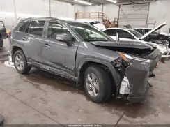 JTMMWRFVXSD293005 2025 TOYOTA RAV 4