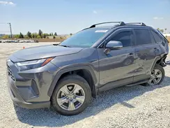 JTMMWRFVXSD326116 2025 TOYOTA RAV 4