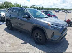 JTMMWRFVXSD339304 2025 TOYOTA RAV 4