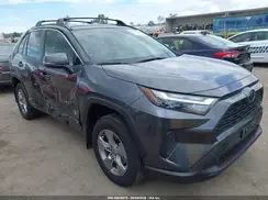 JTMMWRFVXSD349377 2025 TOYOTA RAV 4