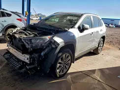 JTMN1RFV0KD500553 2019 TOYOTA RAV 4