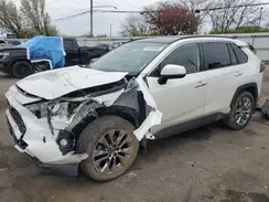 JTMN1RFV0KD515487 2019 TOYOTA RAV 4