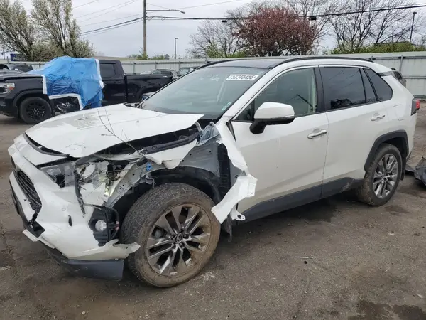 JTMN1RFV0KD515487 2019 TOYOTA RAV 4 - Image 1