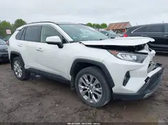 JTMN1RFV0KD517580 2019 TOYOTA RAV 4