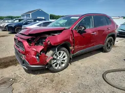 JTMN1RFV1KD025978 2019 TOYOTA RAV 4