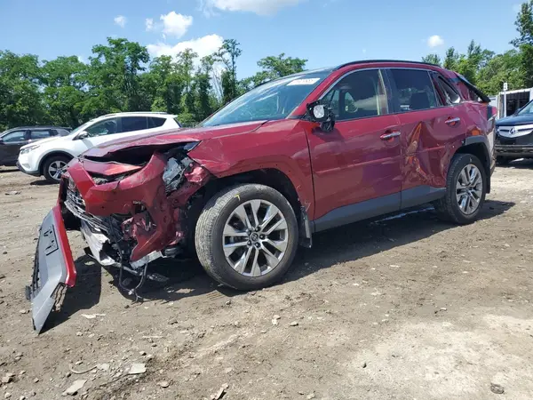 JTMN1RFV1KD504448 2019 TOYOTA RAV 4 - Image 1