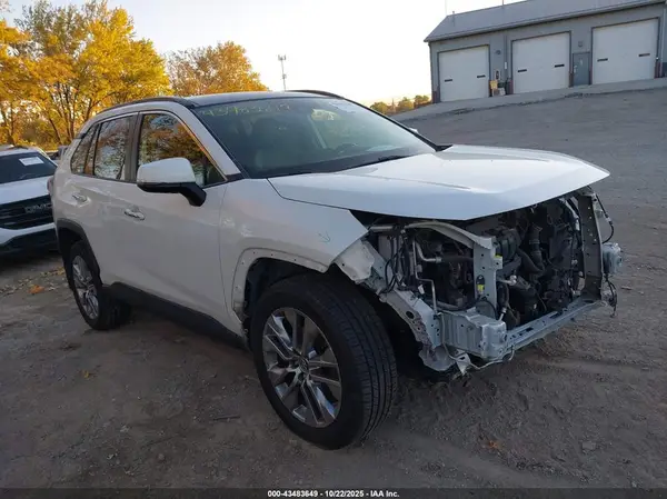 JTMN1RFV1KD521783 2019 TOYOTA RAV 4 - Image 1