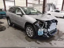 JTMN1RFV1KD522481 2019 TOYOTA RAV 4