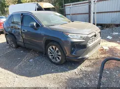 JTMN1RFV1KJ016649 2019 TOYOTA RAV 4