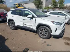 JTMN1RFV1LJ039009 2020 TOYOTA RAV 4