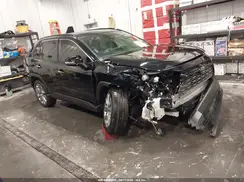 JTMN1RFV1PD102050 2023 TOYOTA RAV 4