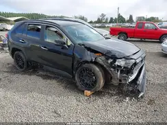 JTMN1RFV2KD017906 2019 TOYOTA RAV 4