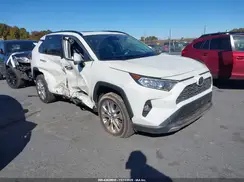 JTMN1RFV2KD032955 2019 TOYOTA RAV 4