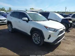 JTMN1RFV2KD039842 2019 TOYOTA RAV 4
