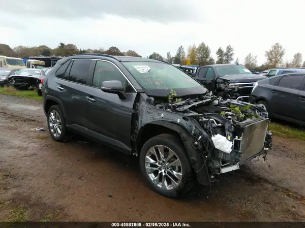 JTMN1RFV2KD520562 2019 TOYOTA RAV 4 - Image 1