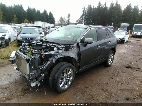 JTMN1RFV2KD520562 2019 TOYOTA RAV 4 - Image 2