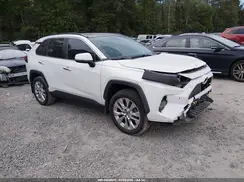 JTMN1RFV2KD521064 2019 TOYOTA RAV 4