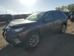 JTMN1RFV2KJ008396 2019 TOYOTA RAV 4