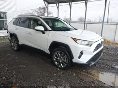 JTMN1RFV3KD002038 2019 TOYOTA RAV 4