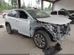 JTMN1RFV3SJ043092 2025 TOYOTA RAV 4