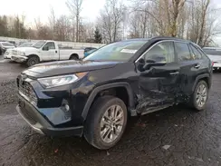 JTMN1RFV4KD009550 2019 TOYOTA RAV 4