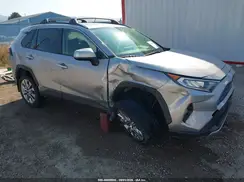 JTMN1RFV4KD014683 2019 TOYOTA RAV 4