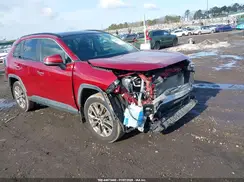 JTMN1RFV4KD521308 2019 TOYOTA RAV 4