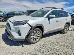 JTMN1RFV4PD094123 2023 TOYOTA RAV 4