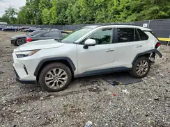 JTMN1RFV4PD101975 2023 TOYOTA RAV 4