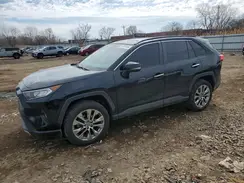 JTMN1RFV5KD504081 2019 TOYOTA RAV 4