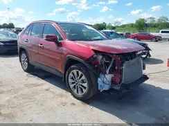 JTMN1RFV5KD517946 2019 TOYOTA RAV 4
