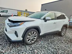 JTMN1RFV5PD094745 2023 TOYOTA RAV 4