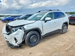 JTMN1RFV5SJ045250 2025 TOYOTA RAV 4