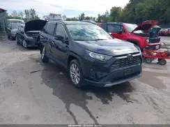 JTMN1RFV6KD520953 2019 TOYOTA RAV 4