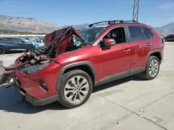 JTMN1RFV6KJ006229 2019 TOYOTA RAV 4