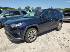 JTMN1RFV6MD075360 2021 TOYOTA RAV 4