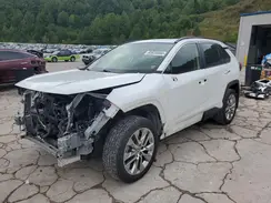 JTMN1RFV6PJ041151 2023 TOYOTA RAV 4