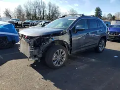 JTMN1RFV6SD117118 2025 TOYOTA RAV 4