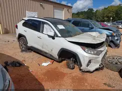 JTMN1RFV7KD505300 2019 TOYOTA RAV 4