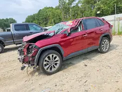 JTMN1RFV8KD007381 2019 TOYOTA RAV 4
