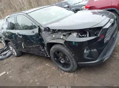 JTMN1RFV8KD039666 2019 TOYOTA RAV 4