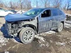 JTMN1RFV8KD520629 2019 TOYOTA RAV 4