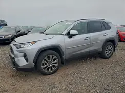JTMN1RFV8MD531844 2021 TOYOTA RAV 4